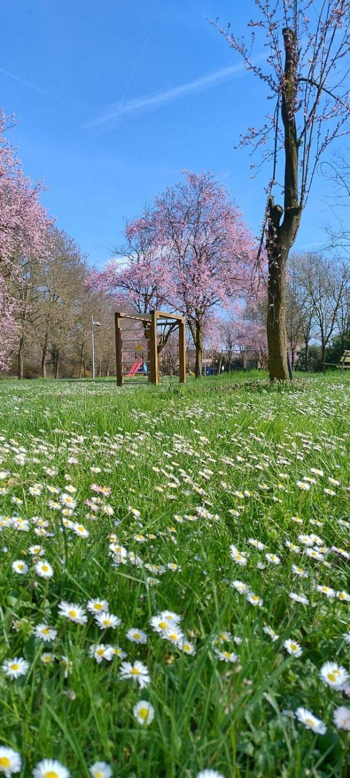Shanti Ca' Casa Indipendente Con Giardino Lacchiarella ภายนอก รูปภาพ